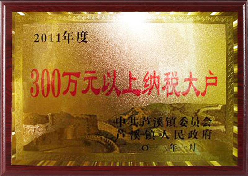 300万以上纳税大户